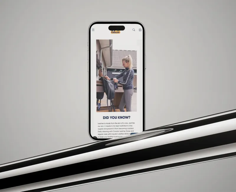 Detail of the website for Cavalor, 2